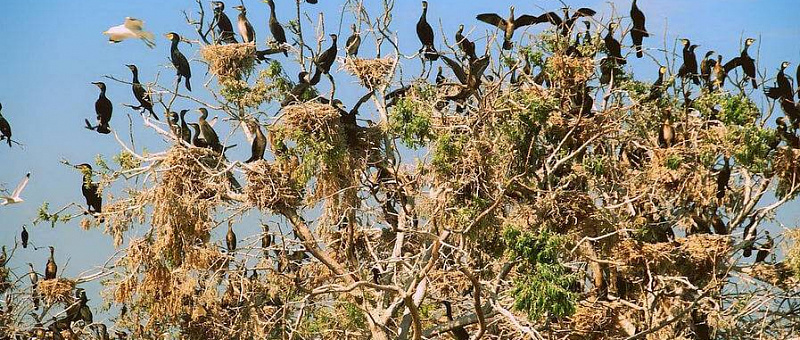 Достопримечательности Глафировки