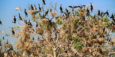 Достопримечательности Глафировки