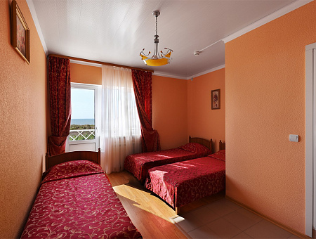 Номер Комфорт двухместный без балкона с питанием